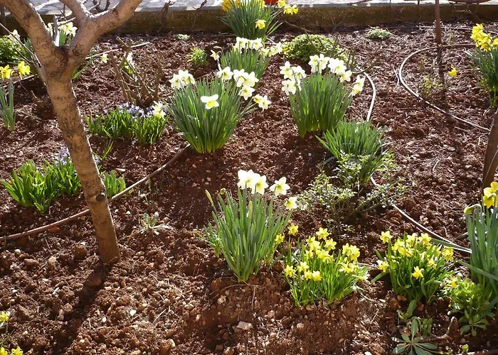 Apartment Vitkovic *